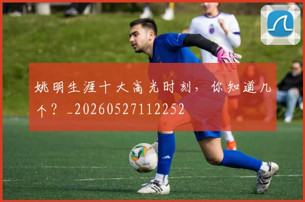 姚明生涯十大高光时刻，你知道几个？_20260527112252
