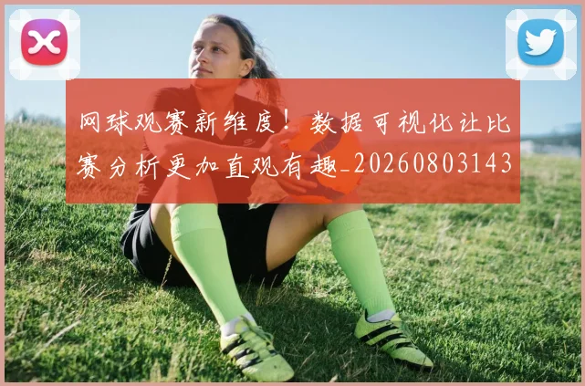 网球观赛新维度!数据可视化让比赛分析更加直观有趣_20260803143542